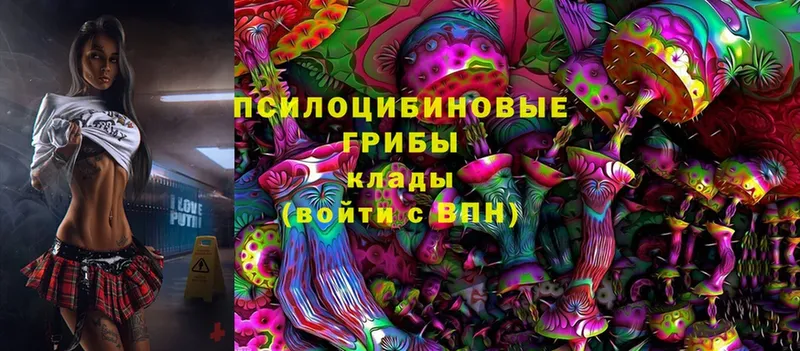 купить   Коломна  Галлюциногенные грибы мицелий 